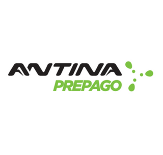 Antina